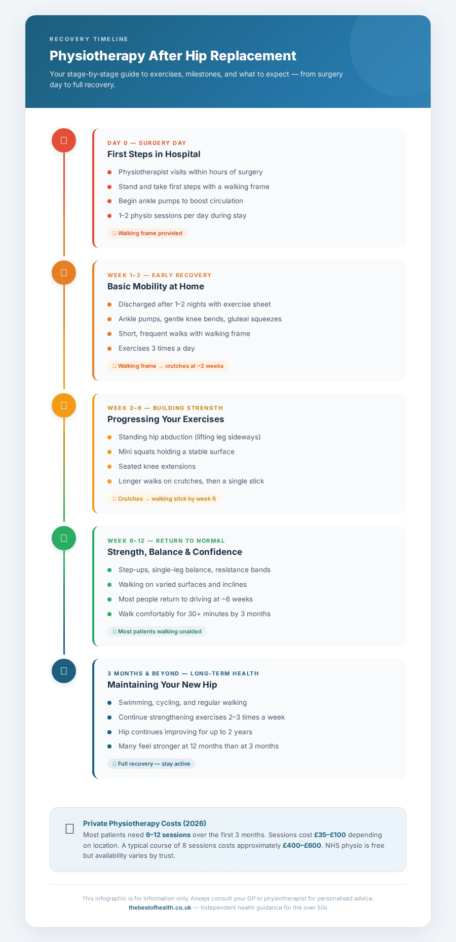 Physiotherapy after hip replacement recovery timeline infographic showing exercises and milestones from surgery day to full recovery