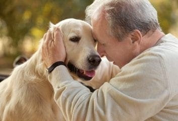 dogs Alzheimer's dementia
