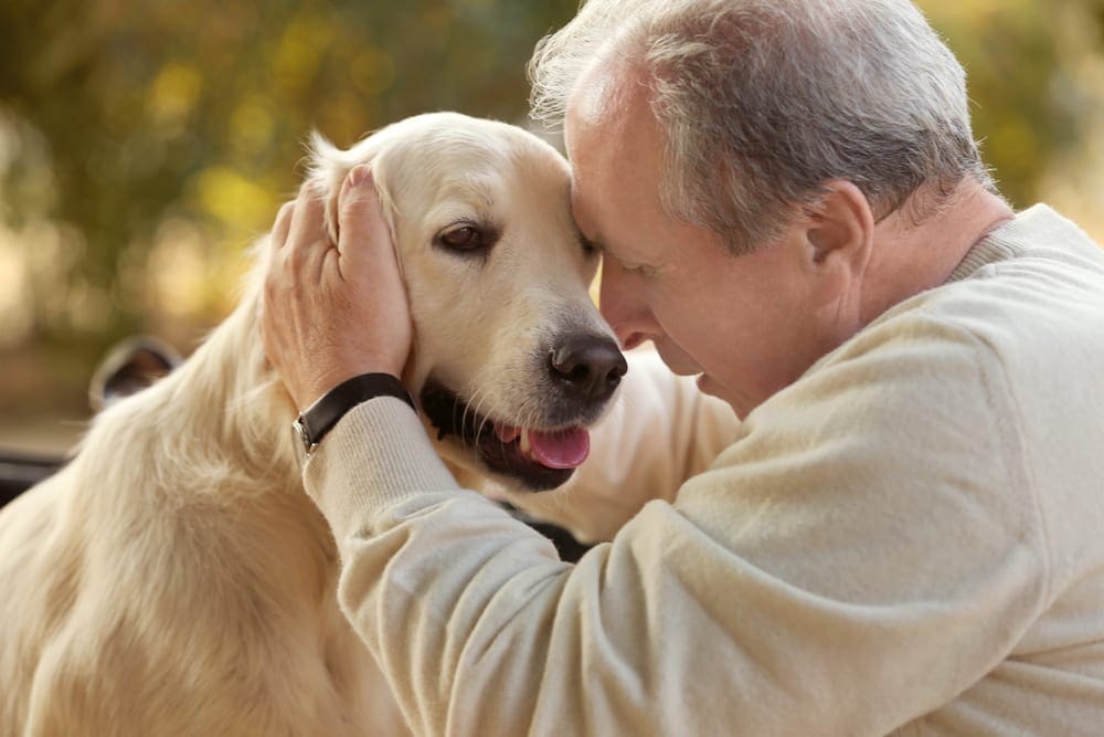 dogs Alzheimer's dementia